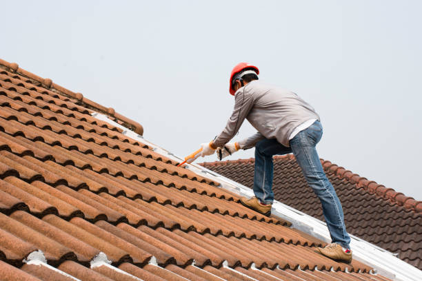 Best Green or Eco-Friendly Roofing Solutions  in Coal Run Village, KY